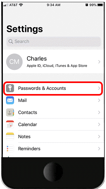 Apple iOS Settings - Passwords & Accounts